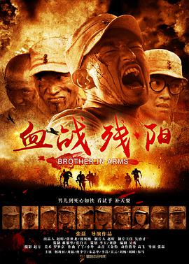 血战残阳封面图