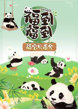 福到福到福宝见面会封面图