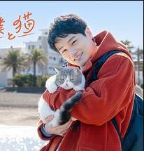 旅行和我和猫封面图
